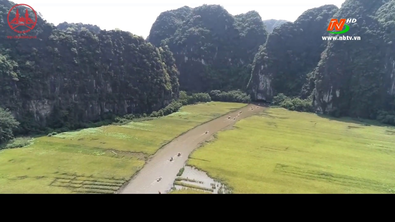 ninh bình mùa lúa chín Update 2022 Tam Cốc mùa lúa chín