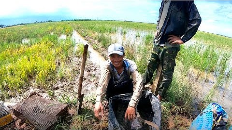 Trải nghiệm đào chuột đồng cùng ae tuy mệt nhưng rất là vui
