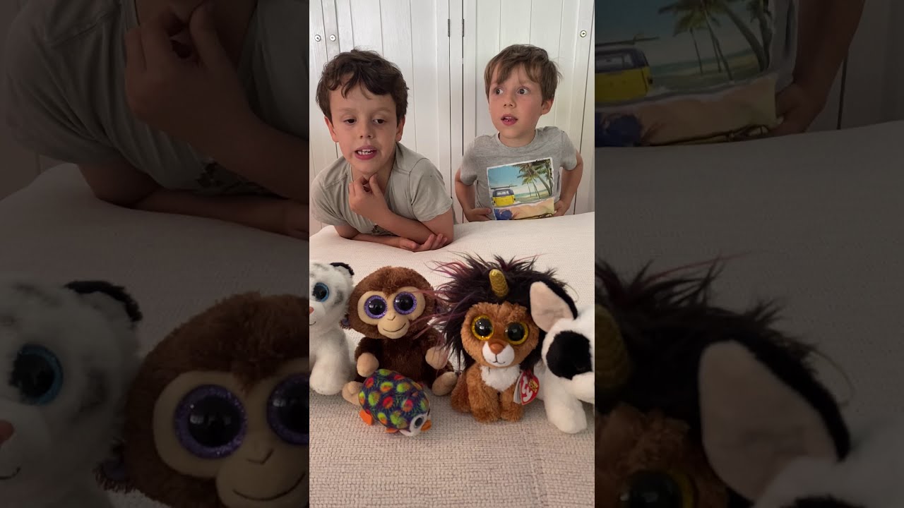 Introducing The Beanie Brothers!