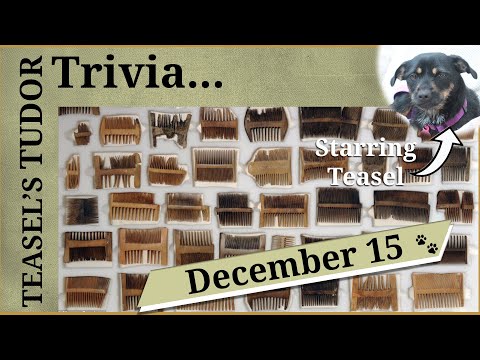 Teasel's Tudor Trivia - 15 December - Tudor Haircare