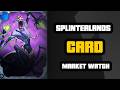 Splinterlands Card MARKET WATCH#55 Part 1 - Escalation is here!
