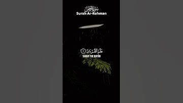 تضيء سبل القلوب مع تلاوة السكينة والجمال من سورة الرحمن  القارئ | Salem Alruwaili