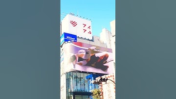 #japan #shinjuku #billboard #3dcat #japantravel #cat #perspective