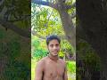 Hindisong Song Bollywood Hindisong Song Bollywood