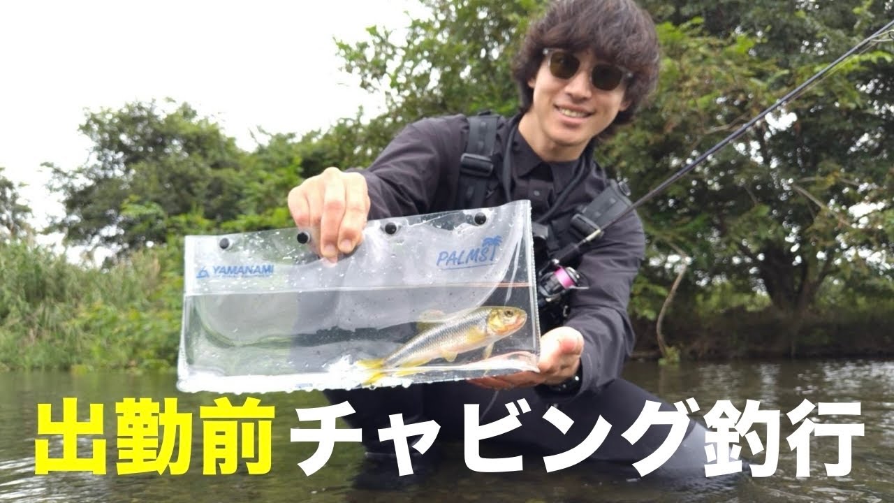 出勤前に近所の川でルアーフィッシング！