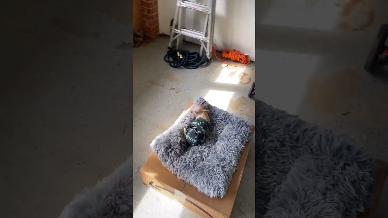 The whole fam be chilling 