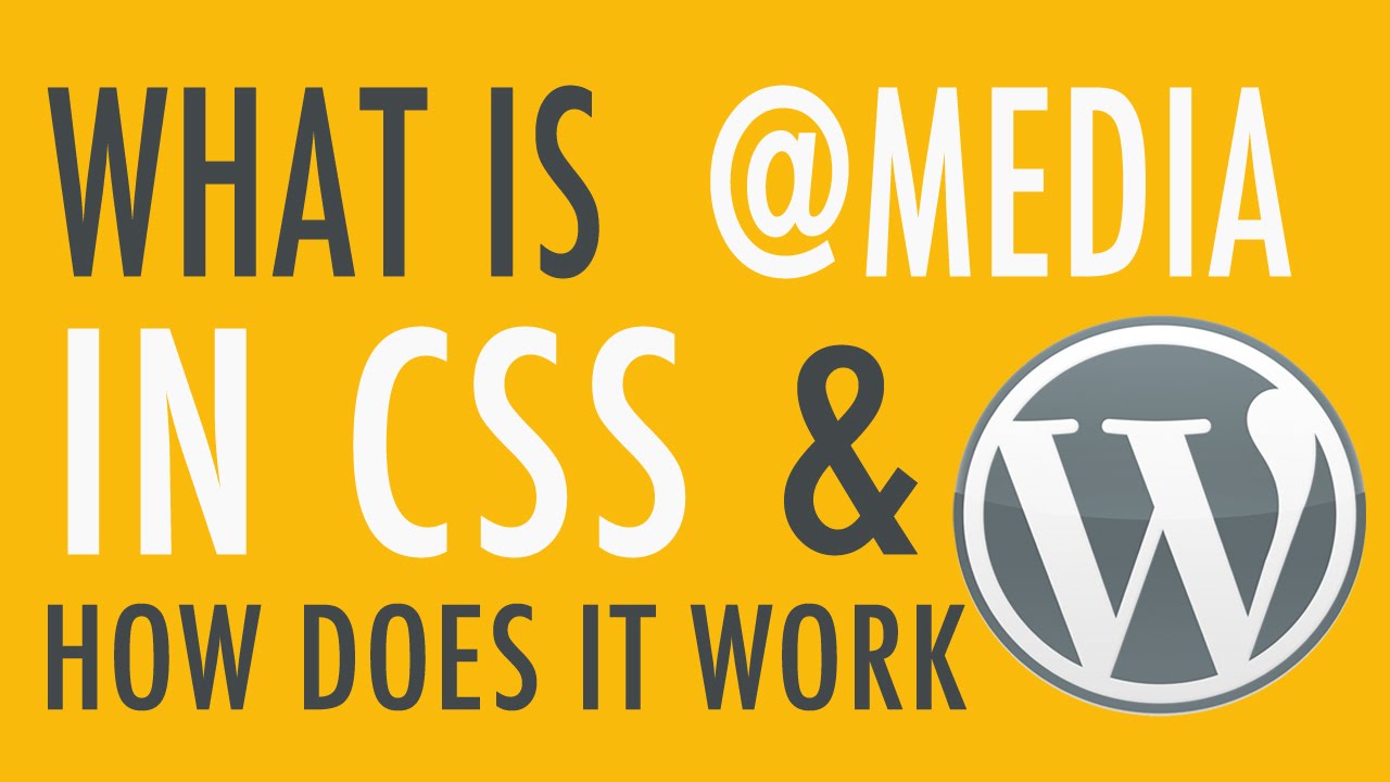 Media Queries in CSS WordPress YouTube
