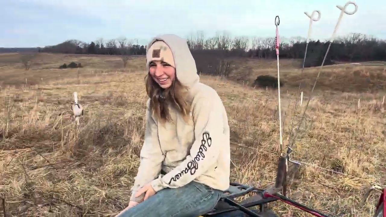 У Грега и Лилы еще есть неплохие запасы мяса на бычьей ферме до середины февраля!