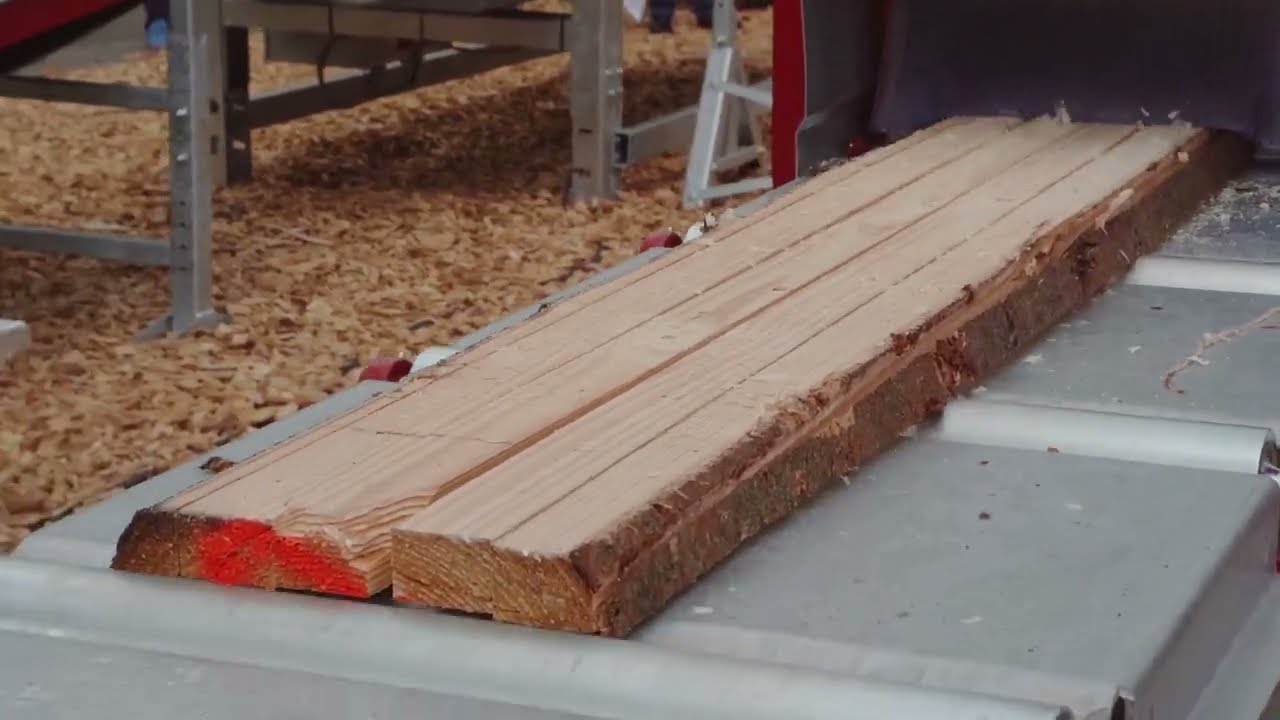 XE135 – Sägewerkslinie // XE135 - Sawmill line