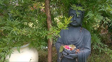 Microsoft Lumia 640 (LTE): Video Test Full HD 1080p