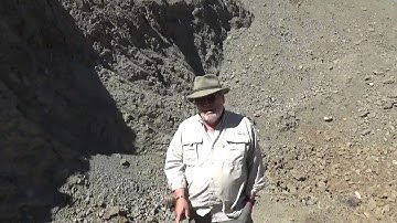 Finding a fossilized tree.