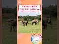 完成形がカオスすぎて草【2ch面白いスレ】