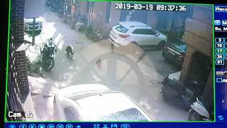 Stupid Biker Killed A Sweet Puppy By Rash Driving