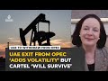 UAE move will insert more volatility but OPEC ‘will survive’, analyst says