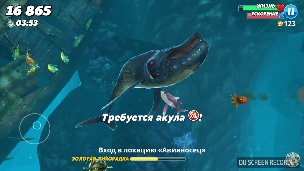 Карта всех затонувших предметов в hungry shark