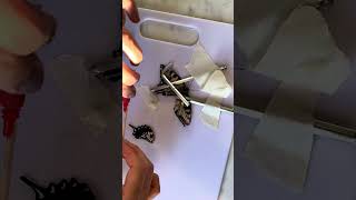 I saved a butterfly!#How to fix a butterfly’s wing!