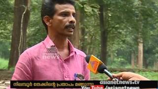 Nilambur Teak |നിലമ്പൂര്‍ തേക്കിന്‍റെ പ്രതാപകാലം മങ്ങുന്നു screenshot 3