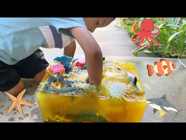 Sea Toys Rescue In Ice Block! Jeremy Rescues The Sea Animals  With Hammer class=