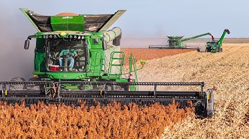 We Have MAJOR Problems During Milo Harvest