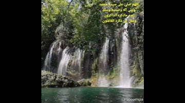 وخلقنا لهم من مثله مايركبون وامتع تلاوه عطره من سوره 🥀 يس والقارئ الشيخ 🥀 مشاري العفاسي 🥀 🌱 🥀