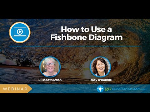 webinar:-how-to-use-a-fishbone-diagram-(encore!)