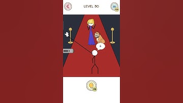 Thief Puzzle Level 30