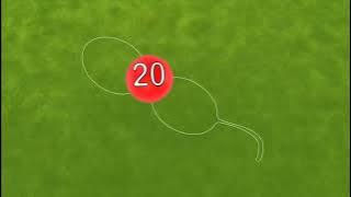 9 marzo 2024(18) glasses door zumbers