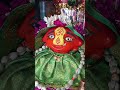 🙏माझ्या घरातील पूजा🙏 #Mahurgad  #Bhakti #Marathi #Shorts