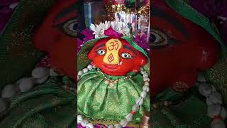 🙏माझ्या घरातील पूजा🙏 #Mahurgad  #Bhakti #Marathi #Shorts