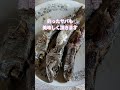 釣ったサバ　美味しく頂きます🙇