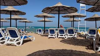 Ivy Cyrene Island Resort 🏝️ Sea College Dive Club 🤿 🐠 Sharm el Sheikh 🇪🇬 Egypt ☀️ April 2024