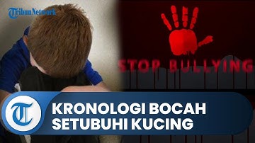 Kronologi Bocah SD Dipaksa Setubuhi Kucing, Pelaku Ternyata Teman Main: Proses Secara Hukum