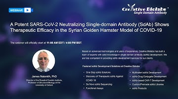 A Potent SARS-CoV-2 Neutralizing SdAb Shows Therapeutic Efficacy in A Hamster Model of COVID-19