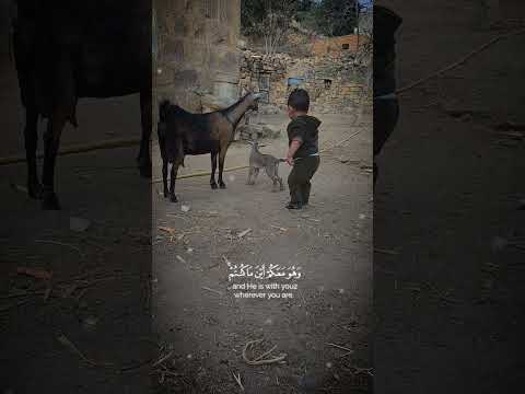 الولد يزن حفظه الله واصلحه مع المزه دبع  اكسبلور المصحف   لايك  