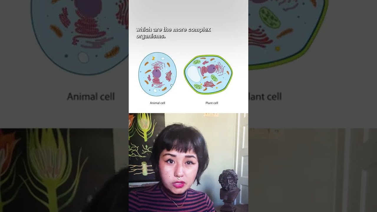 This new giant bacterium is visible to the naked eye #shorts