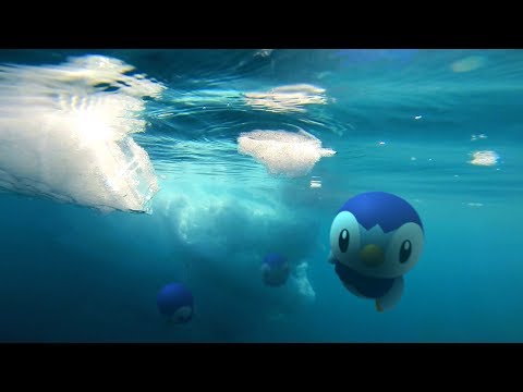 공식 Pokémon GO 지금 깨어나는 광활한 세계로 신오지방 포켓몬 등장