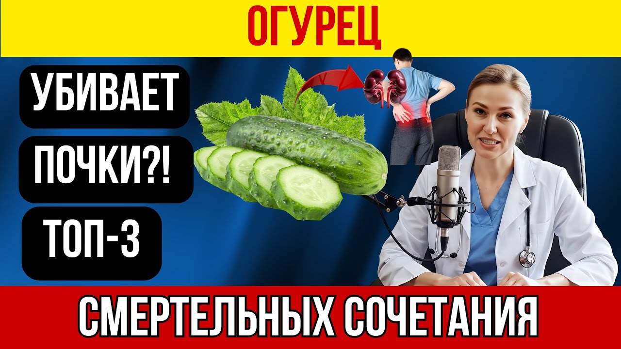 Огурец: с «этим» он становится ядом для почек! ТОП-3 самых опасных сочетаний, которые нельзя есть