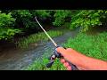 Why You Have to go Exploring!! Mp3 Song