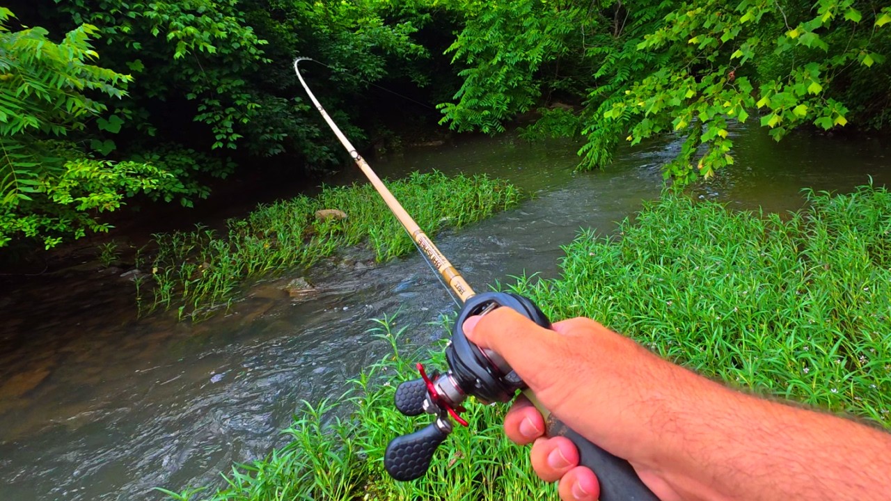Creek Fishing Adventures