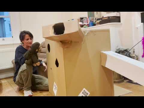 Monkey Vs Cat- Attack box