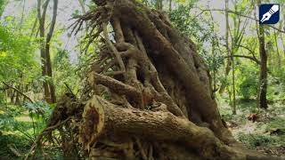 LA CIÉNEGA DE AYOTLÁN ????????