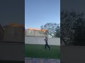Basball