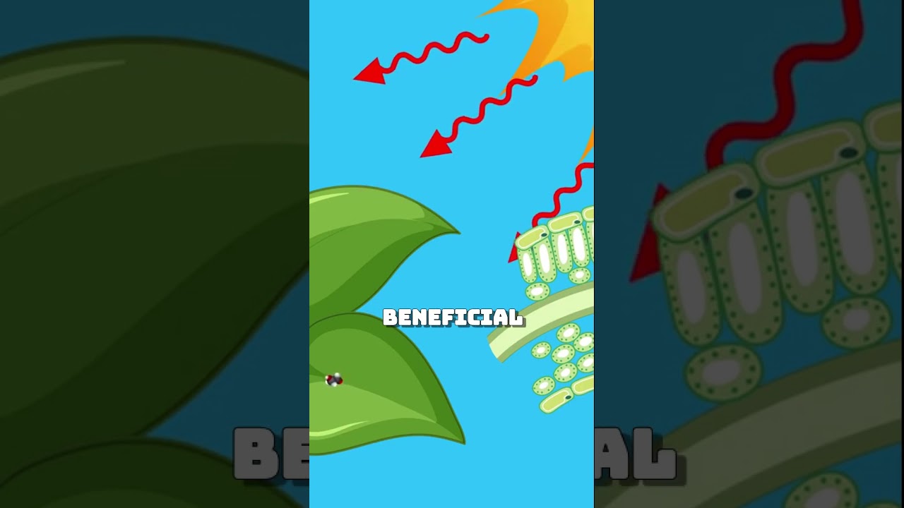 AI and Biotechnology for a Sustainable Future 