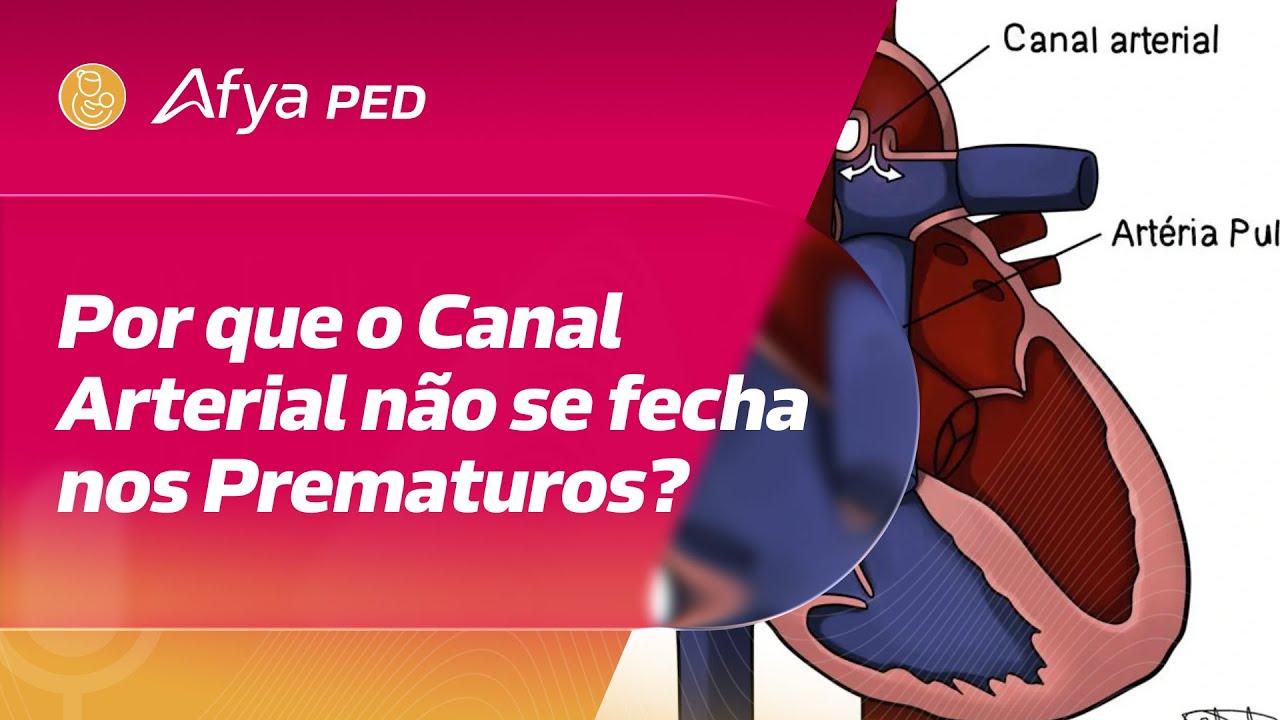 Twisting the theory on the origin of human umbilical cord coiling featuring  monozygotic twins | Life Science Alliance, image size:1280x720