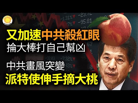 【财经】又加速了！中共杀红眼，抡起大棒打自己资本帮凶；中共画风突变，派特使伸手摘大桃；价格香爆！一大批泡水车正在路上，我来教你识别；中国多地续建方舱医院，成立不到1年企业得标惹议【阿波罗网AJ】