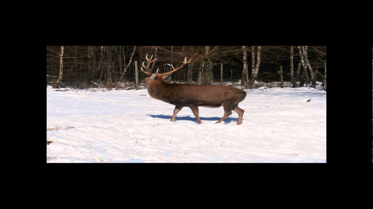 Urlaub in Deutschland / Holiday in Germany (Kell am See; März 2016)