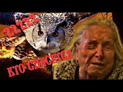 Ванга 2020. Кто