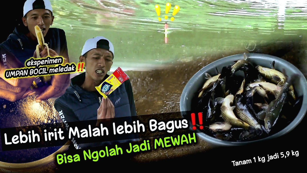 BIKIN HERAN PEMANCING‼️modal Umpan 500 PERAK tapi bisa sebagus ini ||Gimana caranya❓️#Eps.3
