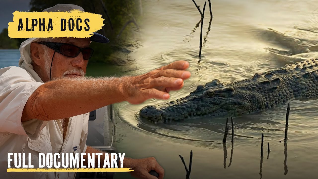 Crocodiles Hunt Baby Sea Turtles at Night 🐊 | Crocodile Island | Full Documentary