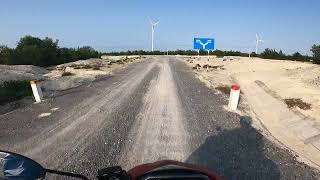 Httpsglobalitunezcomleggierohoneyfoxpopmageapologize